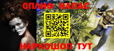 меф Кингисепп