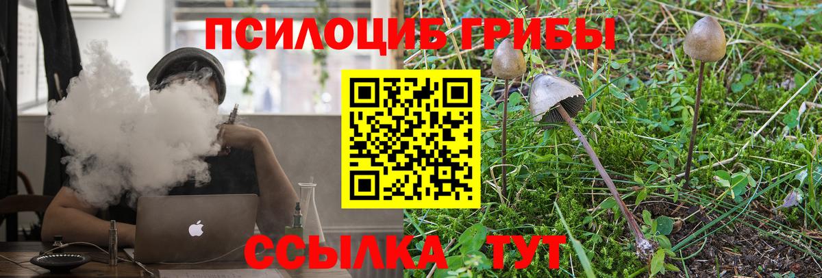 Псилоцибиновые грибы Magic Shrooms Комсомольск-на-Амуре
