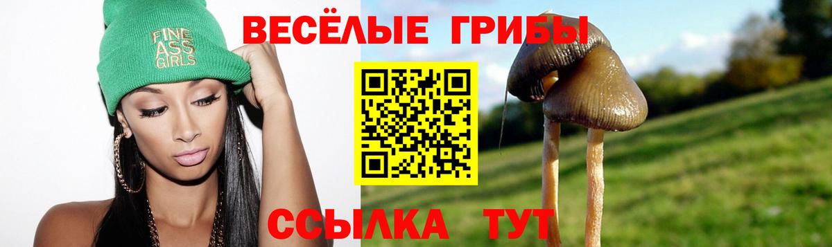как найти закладки  Псилоцибиновые грибы мицелий  Вход с VPN  Комсомольск-на-Амуре 